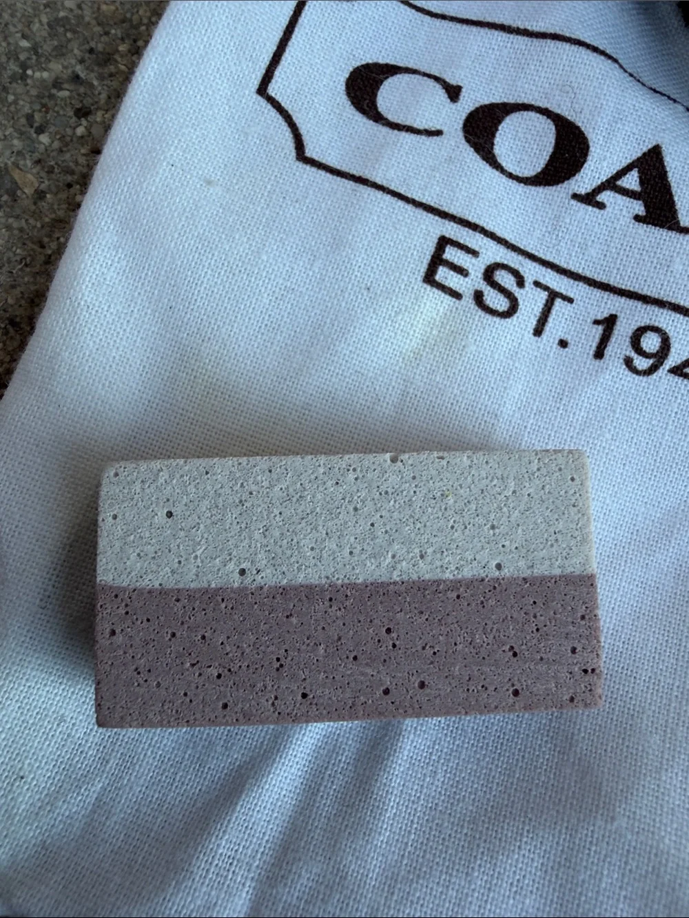 Coach suede nubuck